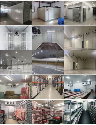 Cold Storage Room Freezing Room Cold Room Cooling and Freezing Room Fruit and Vegetable Freezing Room