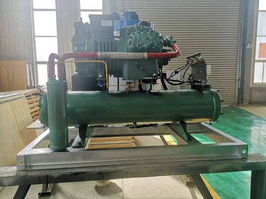 Ecoice Factory Price 5 Ton Water Cooling Flake Ice Machine for  Fishery Industry Seafood Preservation