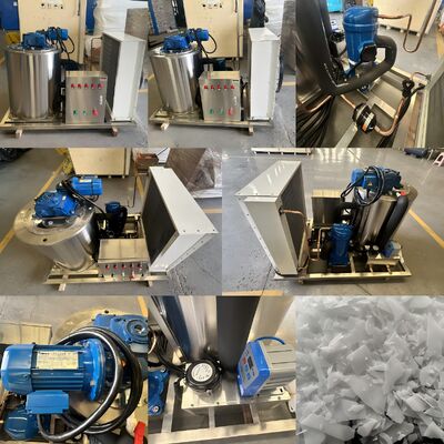 Ecoice 2026 New 10 tons High Efficiency Flake Ice Machine Manufacturer Ice Flake Machine Commercial SS304 Material Ice Flake Maker