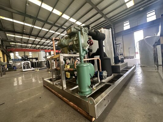 Ecoice 2026 New Commercial 12 Ton Industrial Ice Making Machine Big Capacity Flake Ice Maker Machine with Competitive Price