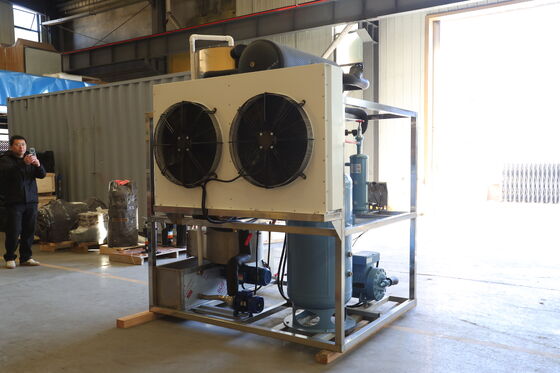 Ecoice crystal 2 Tons Tube Ice Machine Maker Price