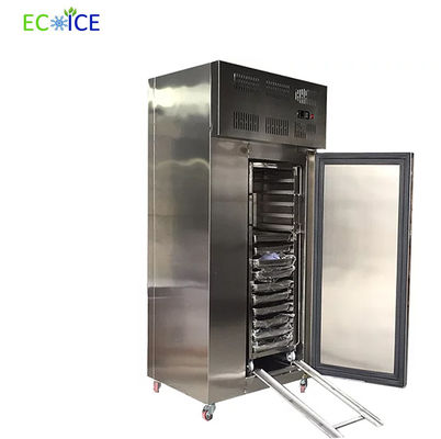 Compact 300L Air Blast Freezer Cold Plate Freezer Deep Freezer Commercial with Trolleys