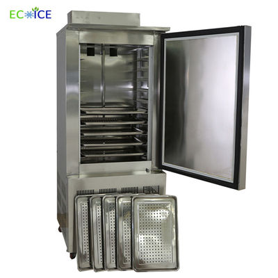 Compact 300L Air Blast Freezer Cold Plate Freezer Deep Freezer Commercial with Trolleys